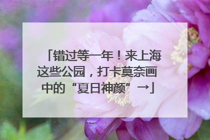错过等一年！来上海这些公园，打卡莫奈画中的“夏日神颜”→