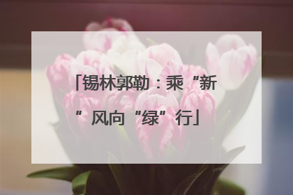 锡林郭勒：乘“新”风向“绿”行