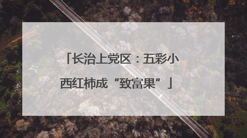 长治上党区：五彩小西红柿成“致富果”