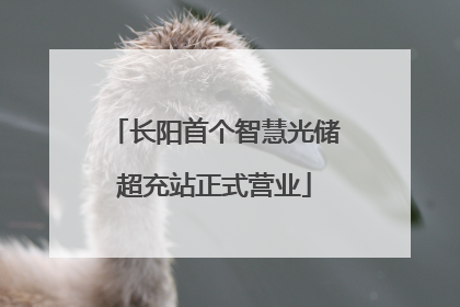 长阳首个智慧光储超充站正式营业