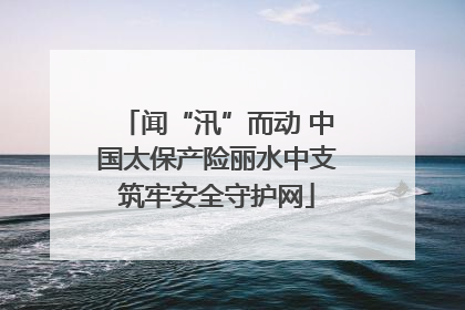 闻“汛”而动 中国太保产险丽水中支筑牢安全守护网