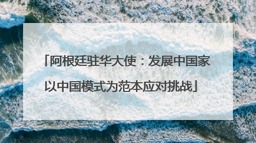 阿根廷驻华大使：发展中国家以中国模式为范本应对挑战