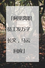 阿里离职员工发万字长文，马云回应