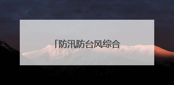 防汛防台风综合应急演练保安全