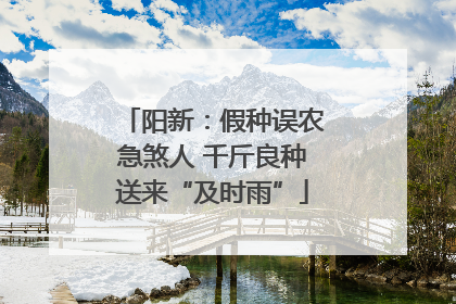 阳新：假种误农急煞人 千斤良种送来“及时雨”