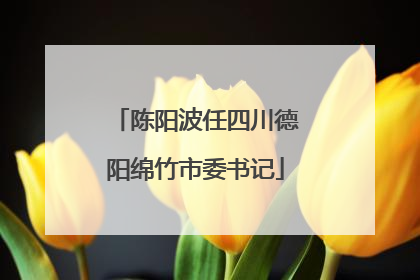 陈阳波任四川德阳绵竹市委书记