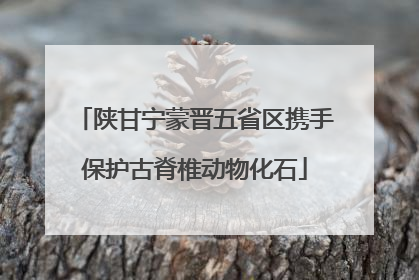 陕甘宁蒙晋五省区携手保护古脊椎动物化石