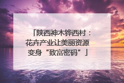 陕西神木铧西村：花卉产业让美丽资源变身“致富密码”