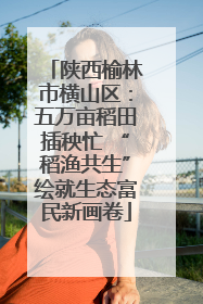 陕西榆林市横山区：五万亩稻田插秧忙 “稻渔共生”绘就生态富民新画卷