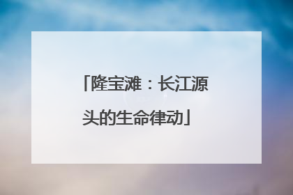 隆宝滩：长江源头的生命律动