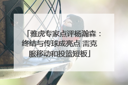 雅虎专家点评杨瀚森：终结与传球成亮点 需克服移动和投篮短板