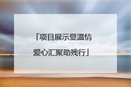 项目展示显温情 爱心汇聚助残行