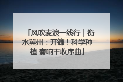 风吹麦浪一线行｜衡水冀州：开镰！科学种植 奏响丰收序曲