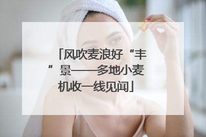 风吹麦浪好“丰”景——多地小麦机收一线见闻