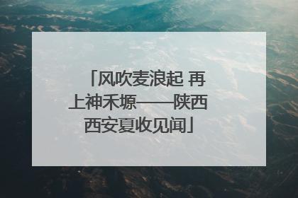 风吹麦浪起 再上神禾塬——陕西西安夏收见闻