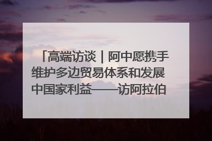 高端访谈｜阿中愿携手维护多边贸易体系和发展中国家利益——访阿拉伯议会议长亚马希