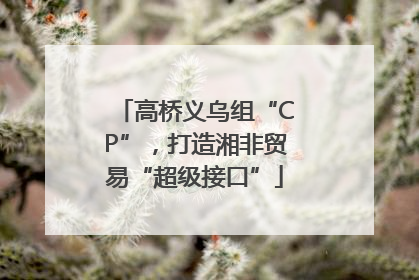 高桥义乌组“CP”，打造湘非贸易“超级接口”