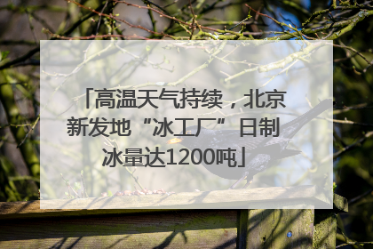 高温天气持续，北京新发地“冰工厂”日制冰量达1200吨