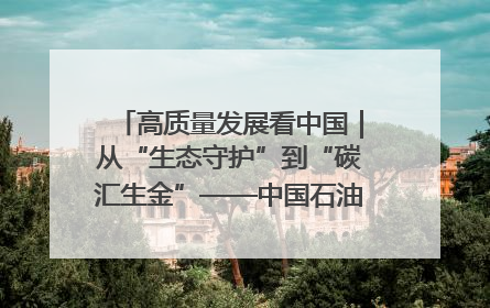 高质量发展看中国｜从“生态守护”到“碳汇生金”——中国石油大庆油田绿色蝶变