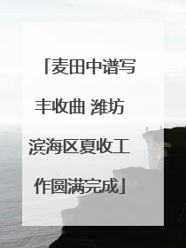 麦田中谱写丰收曲 潍坊滨海区夏收工作圆满完成