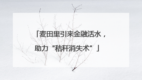 麦田里引来金融活水，助力“秸秆消失术”