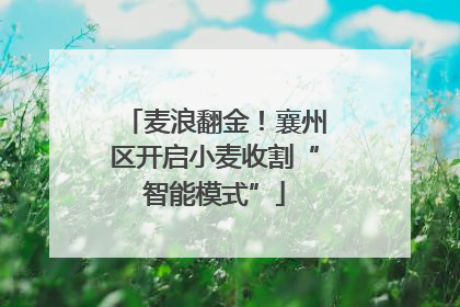 麦浪翻金！襄州区开启小麦收割“智能模式”