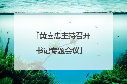黄喜忠主持召开书记专题会议