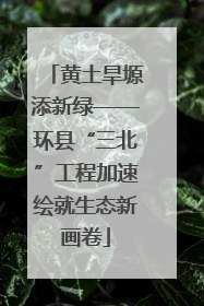黄土旱塬添新绿——环县“三北”工程加速绘就生态新画卷