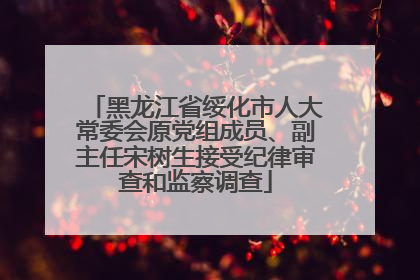 黑龙江省绥化市人大常委会原党组成员、副主任宋树生接受纪律审查和监察调查