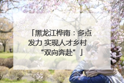黑龙江桦南：多点发力 实现人才乡村“双向奔赴”