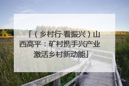 （乡村行·看振兴）山西高平：矿村携手兴产业 激活乡村新动能
