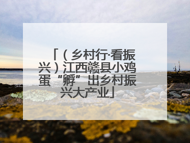 （乡村行·看振兴）江西赣县小鸡蛋“孵”出乡村振兴大产业