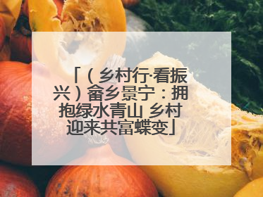 （乡村行·看振兴）畲乡景宁：拥抱绿水青山 乡村迎来共富蝶变