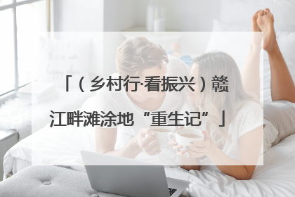 （乡村行·看振兴）赣江畔滩涂地“重生记”