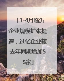 1-4月临沂企业规模扩张提速，过亿企业较去年同期增加55家