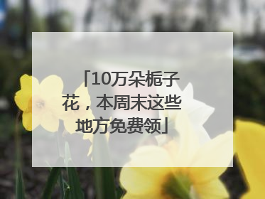 10万朵栀子花，本周末这些地方免费领