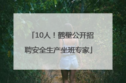 10人！鹤壁公开招聘安全生产坐班专家