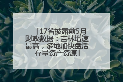 17省披露前5月财政数据：吉林增速最高，多地加快盘活存量资产资源