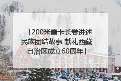 200米唐卡长卷讲述民族团结故事 献礼西藏自治区成立60周年