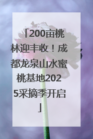 200亩桃林迎丰收！成都龙泉山水蜜桃基地2025采摘季开启