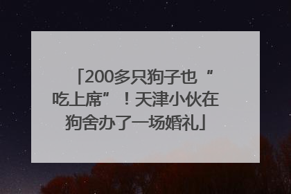200多只狗子也“吃上席”！天津小伙在狗舍办了一场婚礼