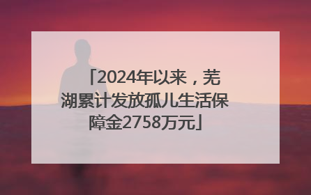 2024年以来，芜湖累计发放孤儿生活保障金2758万元