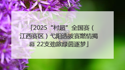 2025“村超”全国赛（江西赛区）弋阳选拔赛燃情揭幕 22支劲旅绿茵逐梦