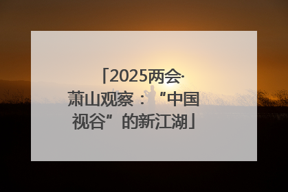2025两会·萧山观察：“中国视谷”的新江湖