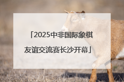 2025中非国际象棋友谊交流赛长沙开幕