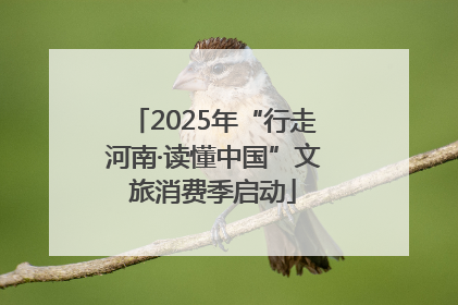 2025年“行走河南·读懂中国”文旅消费季启动