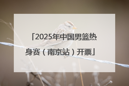 2025年中国男篮热身赛（南京站）开票