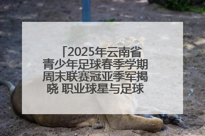 2025年云南省青少年足球春季学期周末联赛冠亚季军揭晓 职业球星与足球小将共享荣耀时刻
