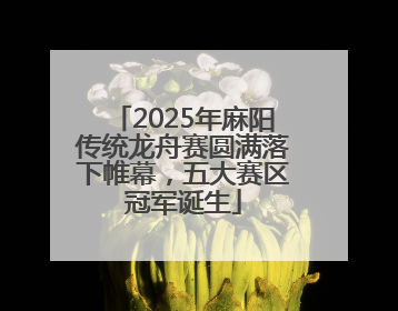 2025年麻阳传统龙舟赛圆满落下帷幕，五大赛区冠军诞生