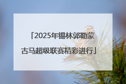 2025年锡林郭勒蒙古马超级联赛精彩进行